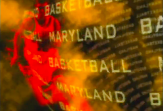 Terps